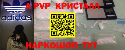 стаф Владивосток