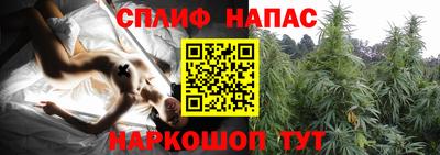 стаф Владивосток