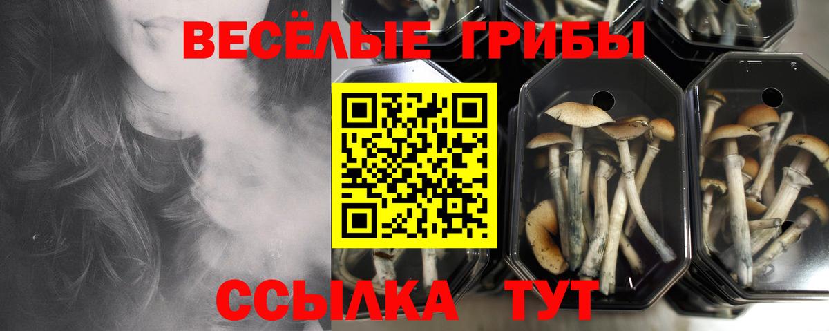 Галлюциногенные грибы GOLDEN TEACHER  Вход с VPN  Муравленко 